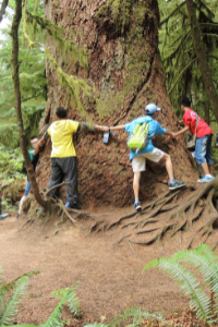 Teens Can Make a Difference - teens hugging a large tree